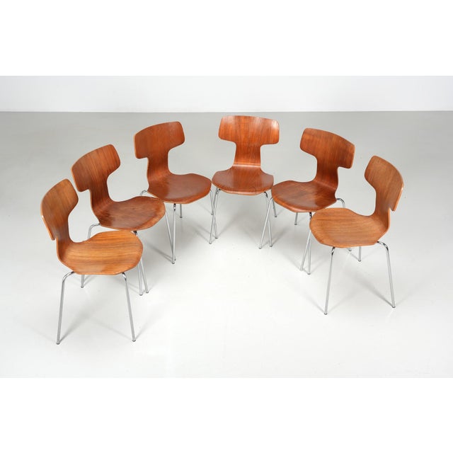 Wood Model 3103 Chairs by Arne Jacobsen for Fritz Hansen, 1950s, Set of 6 For Sale - Image 7 of 7