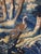 Flemish 18 Century Verdure Three Birds and Thistle Plant For Sale - Image 12 of 18