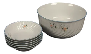 20th Century Porcelain Large and Small Bowls Dessert Set with Flowers from Ginori, 1920s