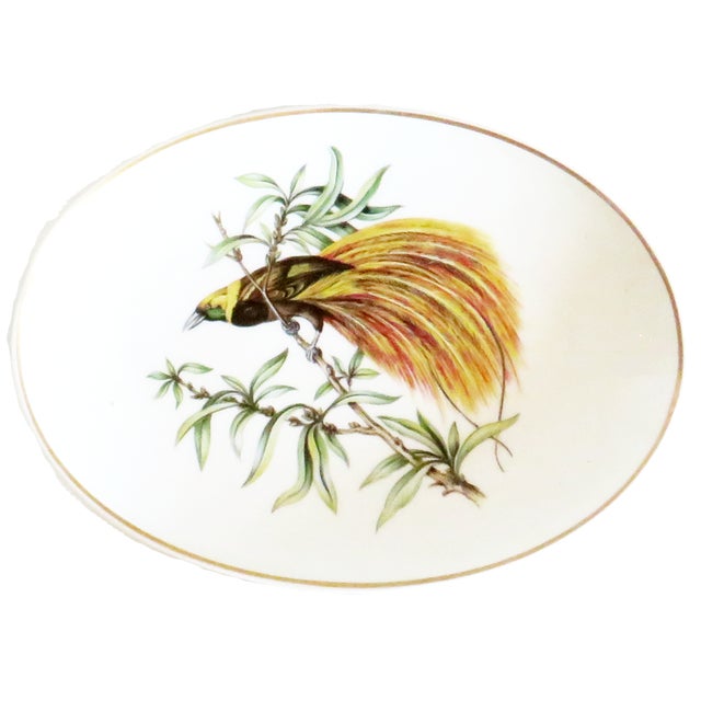 Hollywood Regency Mottadeheh Design Portuguese Birds of Paradise Porcelain Plates, Set of 6 For Sale - Image 3 of 8