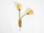 Mid-Century Modern Mid-Century Modern Brass Wall Lamp with Gooseneck and Double Shade by Cosack Leuchten, 1950s For Sale - Image 3 of 18