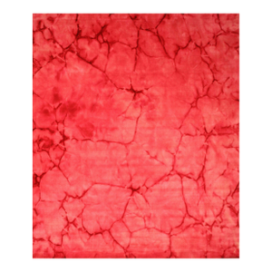 9x12 Sarrah Giselle Coral Abstract Contemporary Indian Hand Knotted Wool Rug