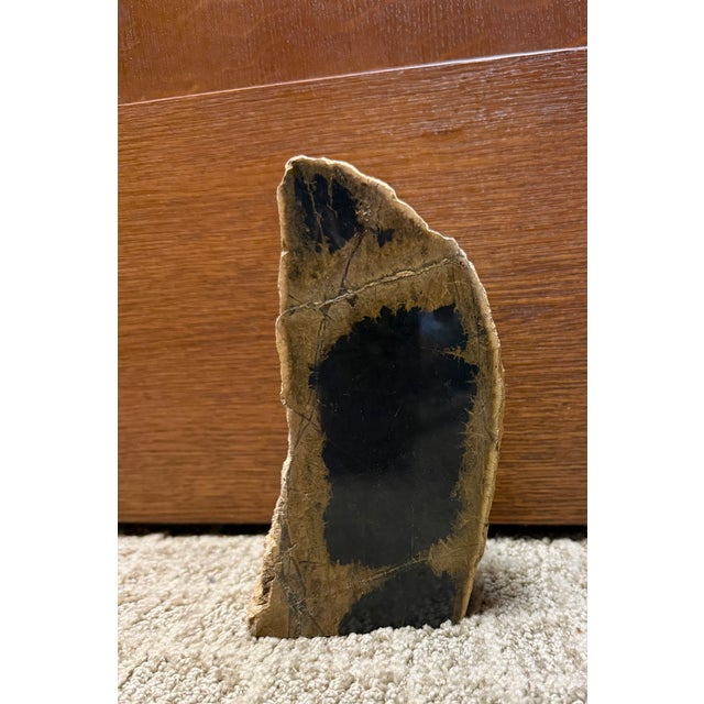 Fossilized Wood Decorative Piece, Lovely Figures and Colors For Sale In Washington DC - Image 6 of 6