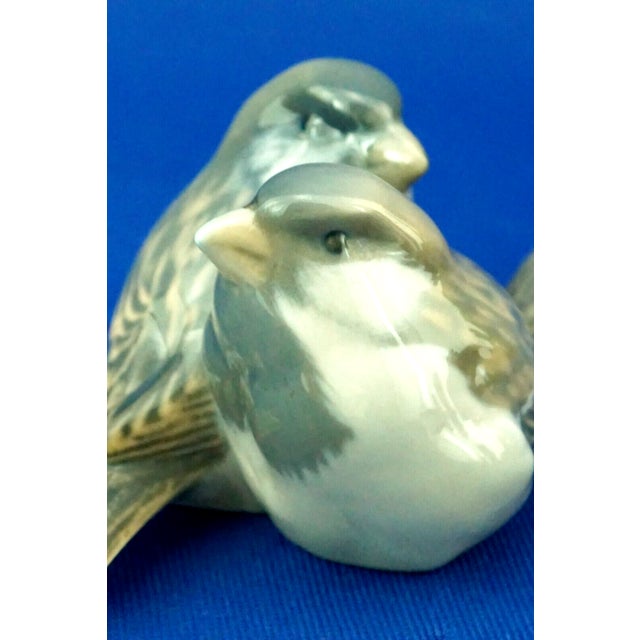 20th Century Porcelain Sparrows Statuette from Royal Copenhagen, Denmark, 1890s-1910s For Sale - Image 12 of 18