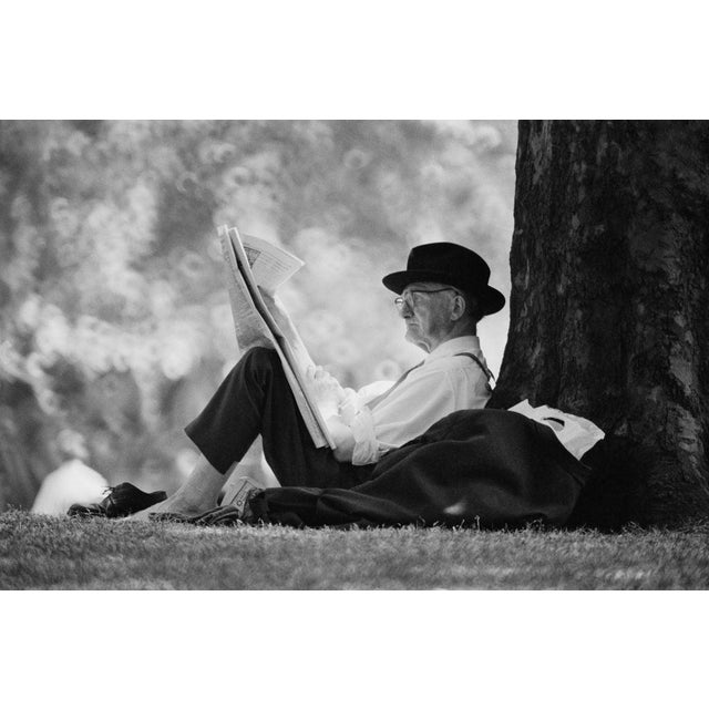 St. James's Park, London An older man reads a newspaper in the shades under a tree in St James's Park, London, UK, 8th...