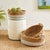 Seagrass shallow baskets are a fresh way to add that upscale, beachy look to any space. Seagrass is doublewalled baskets...