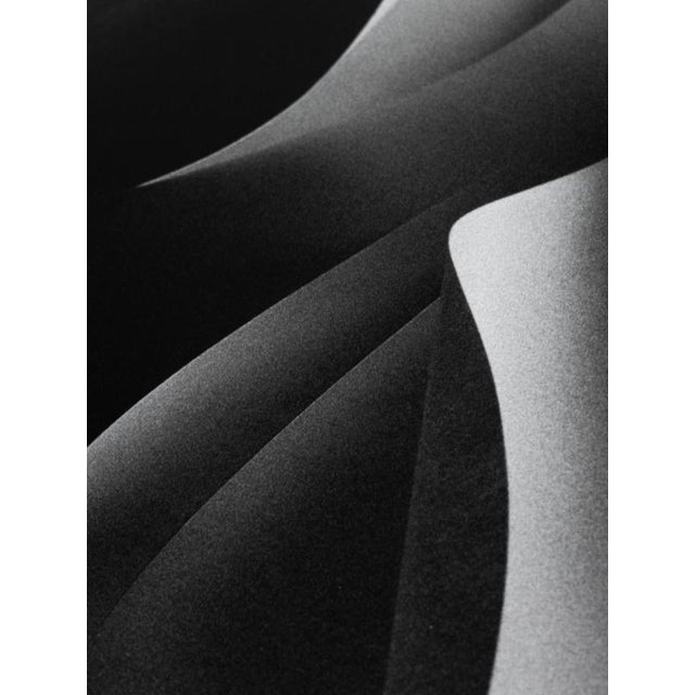 Paper cut' London, United Kingdom 2021 Limited edition of 10. Printed on fine art heavy-weight paper. The photograph comes...