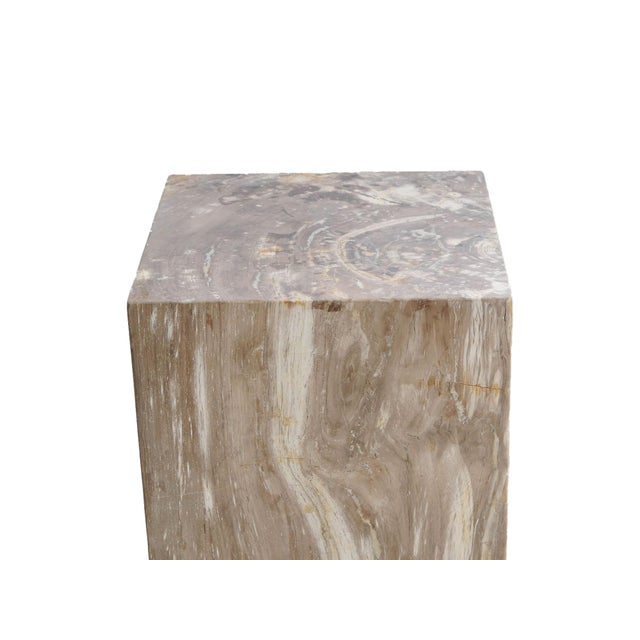 Petrified Wood Pedestal by Xyleia Petrified Wood For Sale - Image 4 of 6