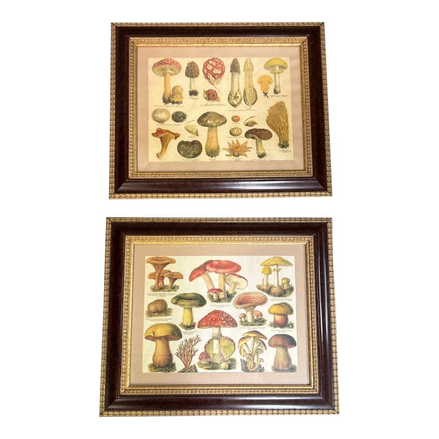 1970’s Original Two Labeled Mushroom Prints - Set of Two For Sale