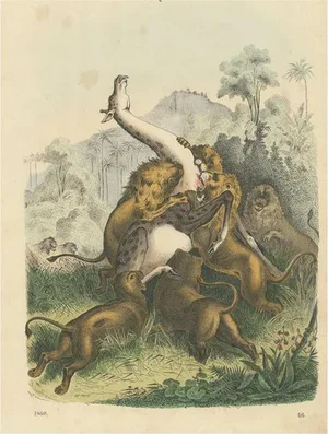Lions Attacking a Giraffe, Paper
