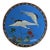 Antique Chinese Figural Bird Cloisonne Enameled Plate C1920 For Sale