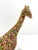 Jay Strongwater Goodwin Mille Fiori Giraffe Figurine Limited Edition 115/350 Swarovski Crystal Enamel 14k Gold Finish Pewter Luxury Collectible Decor For Sale - Image 4 of 8