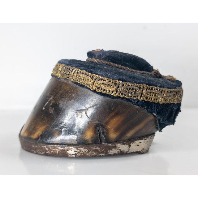 Late 19th Century 19th Century Rustic Horse Hoof Pin Cushion or Paperweight With Horseshoe For Sale - Image 5 of 10