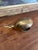 Mid-20th Century Solid Brass Toned Whale-Shaped Novelty Ashtray or Trinket Holder. For Sale In Seattle - Image 6 of 10
