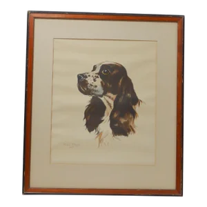 Springer Spaniel Art Limited Edition Chromolithograph Richard Thompson (1914-1991)