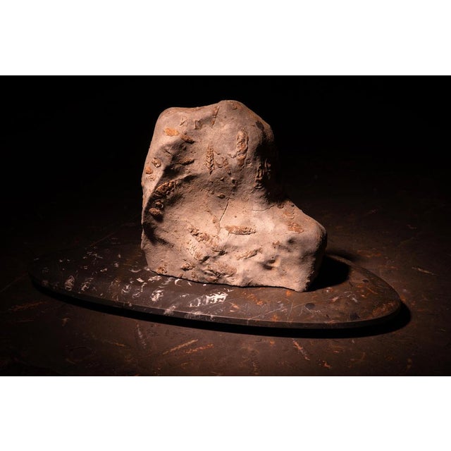 Not Yet Made - Made To Order Rock Large Sculpture in Jurassic Natural Rock by Nerinea For Sale - Image 5 of 11