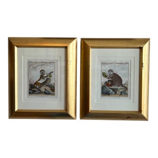 Pair of Antique Hand Colored French Monkey Engravings Reproduction For Sale