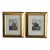 Pair of Antique Hand Colored French Monkey Engravings Reproduction For Sale