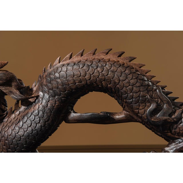 Vietnamese Nha Trang White Kyara Agarwood — “Dragon Across the World” Water-Sinking Grade Sculpture For Sale - Image 9 of 9