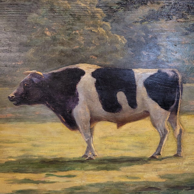 Roger Griboval, Rouen School Cow, 1980s, Oil on Board For Sale - Image 6 of 18