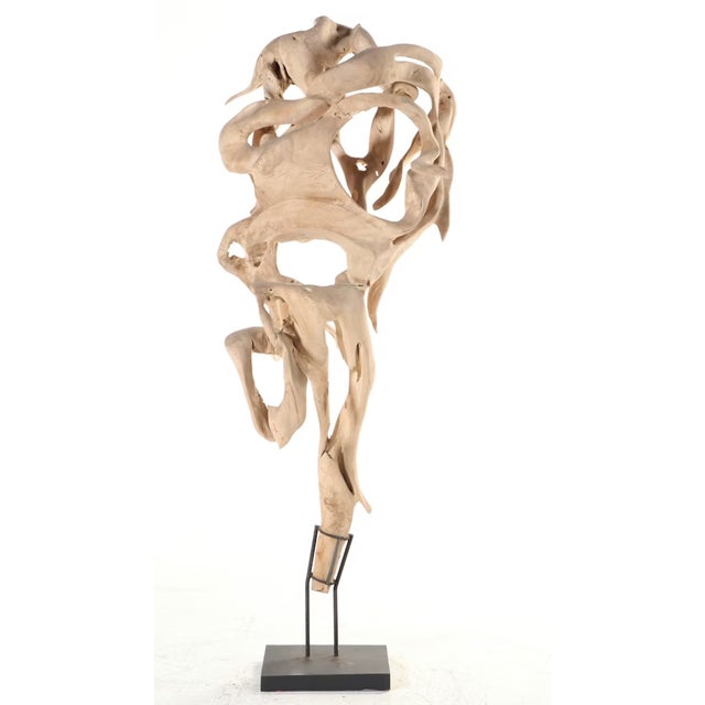 Monumental Teak Root Sculpture 7' Tall For Sale - Image 10 of 18