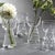 Amélie Assorted Glass Vases, Set of 4 For Sale In Los Angeles - Image 6 of 8