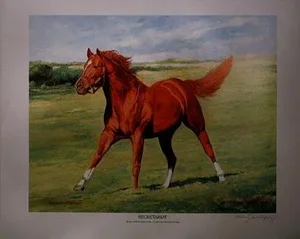 Secretariat, Murray Muldofsky Print