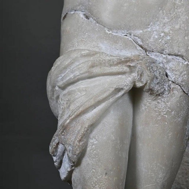 2000 - 2009 Venus statue with Dolphin Sculpture, White Composite For Sale - Image 5 of 7