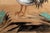 Vintage Painting of Rooster on Rock With Black Tail Feathers For Sale - Image 4 of 5