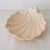 Ceramic Vintage Fitz & Floyd Ceramic Sea Shell Corals Trinket Dish Bowl For Sale - Image 7 of 7