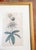 Late 18th Century 18th Century Hand Colored Passionflower Engraving From Curtis Botanic Magazine For Sale - Image 5 of 11