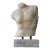Carved Marble Roman Statue Torso For Sale