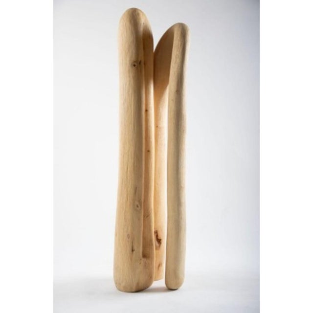 Piotr Butkiewicz, The Fountain Abstract Sculpture, 2016, Wood For Sale - Image 4 of 6