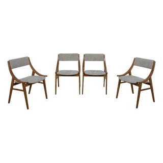 Ski Jumper Chairs from Zamojska, Poland, 1960s, Set of 4 For Sale