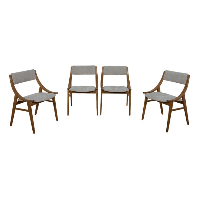 Ski Jumper Chairs from Zamojska, Poland, 1960s, Set of 4 For Sale