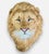 Anne Andersson, Lions Head Big Game Trophy Natural Sisal Fiber Sculpture Lion Anne Andersson Art, 2009 For Sale - Image 9 of 12