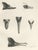 Lilian Marguerite Medland, Bills of the Sawbills and Sea Ducks, 1909, Print For Sale - Image 9 of 9