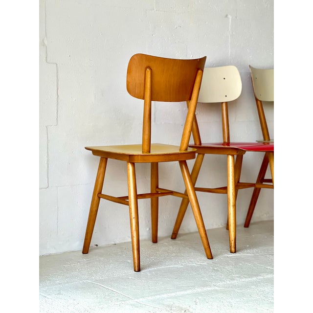 Vintage Dining Chairs from Ton, 1950, Set of 4 For Sale - Image 11 of 18