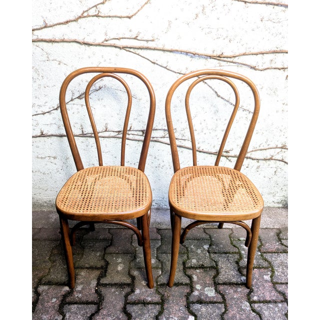 Wood Cane and Bentwood Chairs, 1960s, Set of 2 For Sale - Image 7 of 8