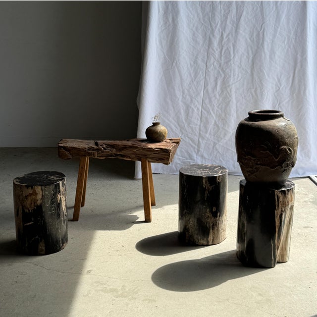 Contemporary Side Table in Black Petrified Wood with Beige Fine Mesh Pattern For Sale - Image 3 of 18