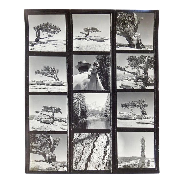 Vintage California Yosemite Contact Sheet Photographs For Sale