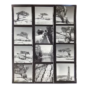Vintage California Yosemite Contact Sheet Photographs