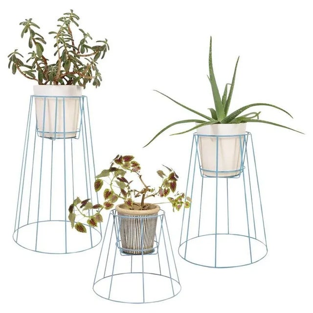 Blue Pigeon Blue Cibele Plant Stands by OK Design, Set of 3 For Sale - Image 8 of 8