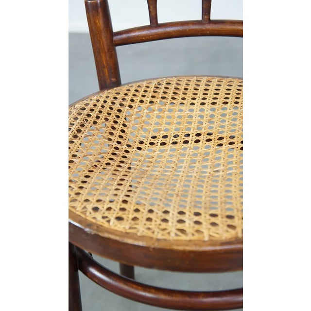 Brown Dining Chair by Michael Thonet For Sale - Image 8 of 12