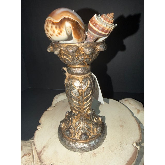 Celestial Meets the Sea Baroque Shells-Coastal Art Sculpture For Sale In Chicago - Image 6 of 6