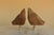 2020s Japanese Lovebird Camphor Wood Lamp Finials on Brass Hardware - A Pair For Sale - Image 5 of 10