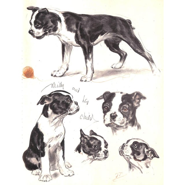 1940s "Diana Thorne's Dogs: An Album of Drawings" 1944 Thorne, Diana For Sale - Image 5 of 12