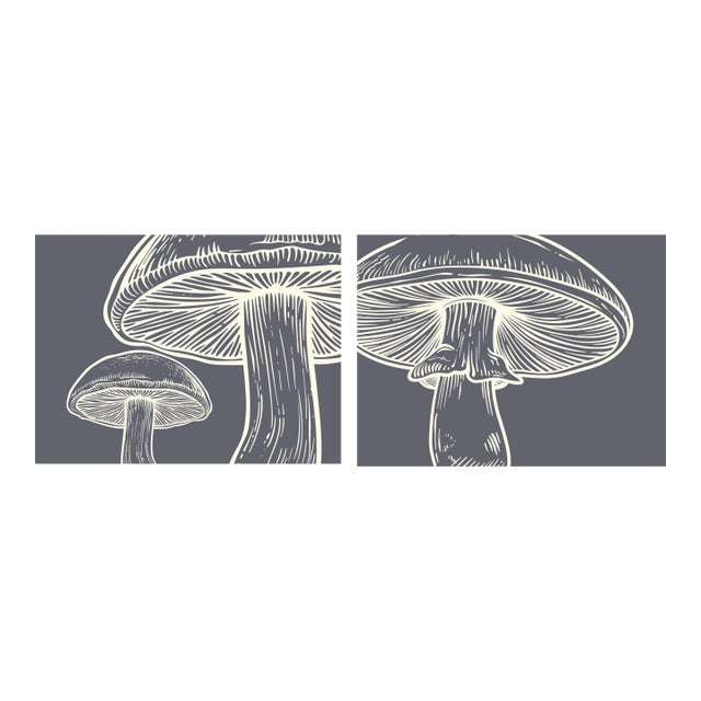 Mushrooms Set of Two Gray Colorway 16 X 20 Prints Reproduction For Sale