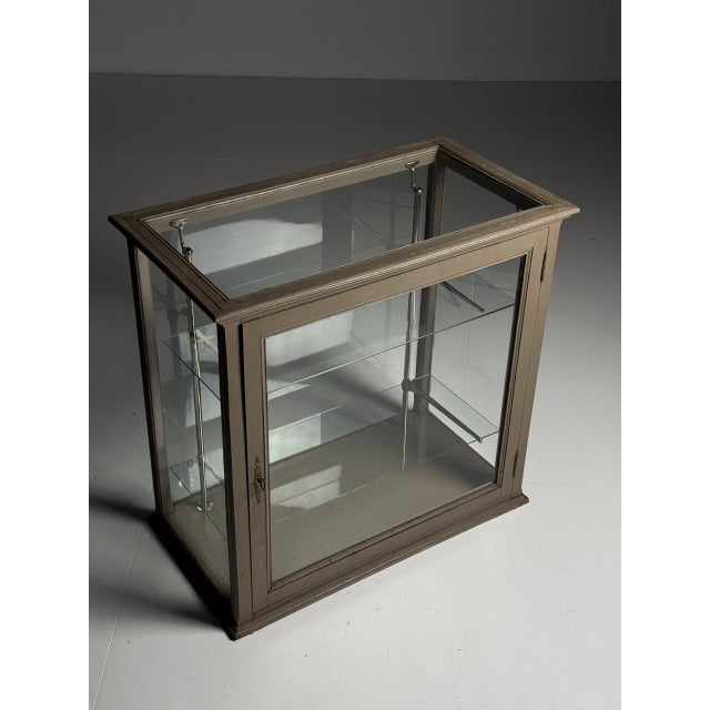 French Display Cabinet in Grey, 1900s For Sale - Image 3 of 18