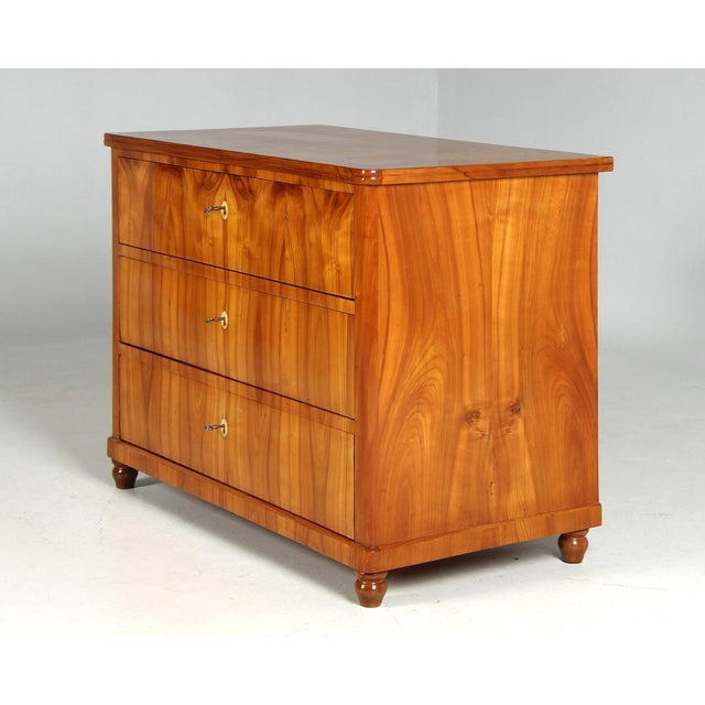 Wood Antique Biedermeier Chest of Drawers, 1840 For Sale - Image 7 of 11